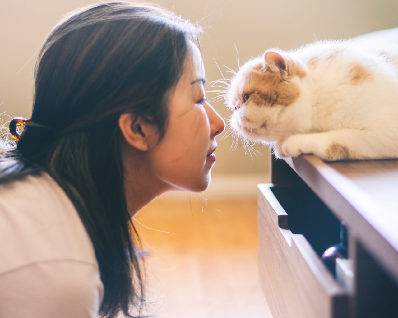 Creamy the cat